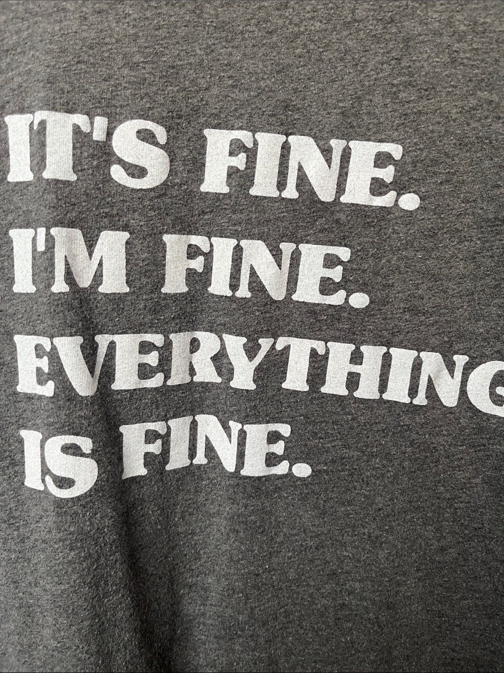 Canvas Gray Short-Sleeve Tee size M
It's Fine. I’m fine. Everything is fine. - Picture 2 of 4